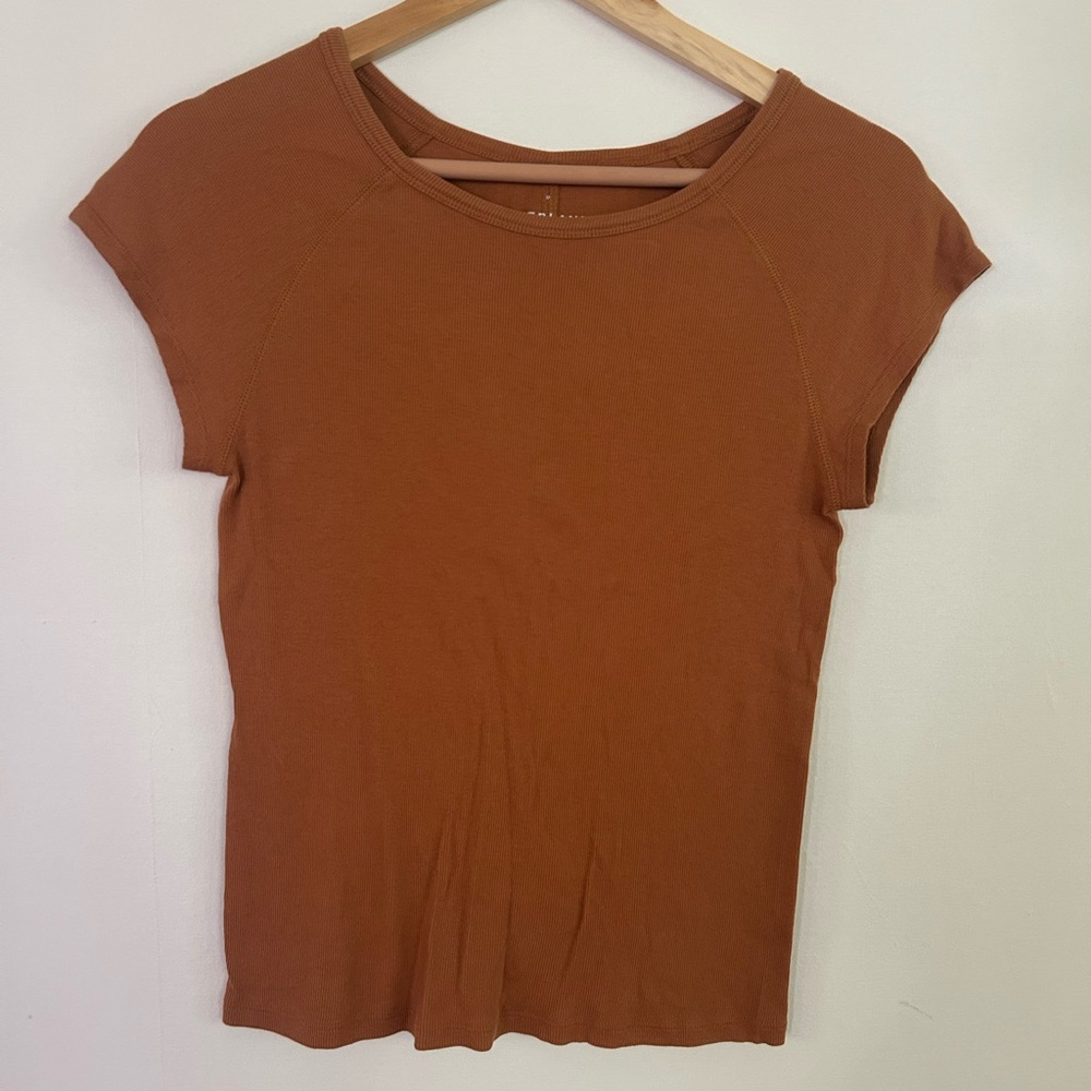 Everlane Women's Rust Short Sleeve Tee